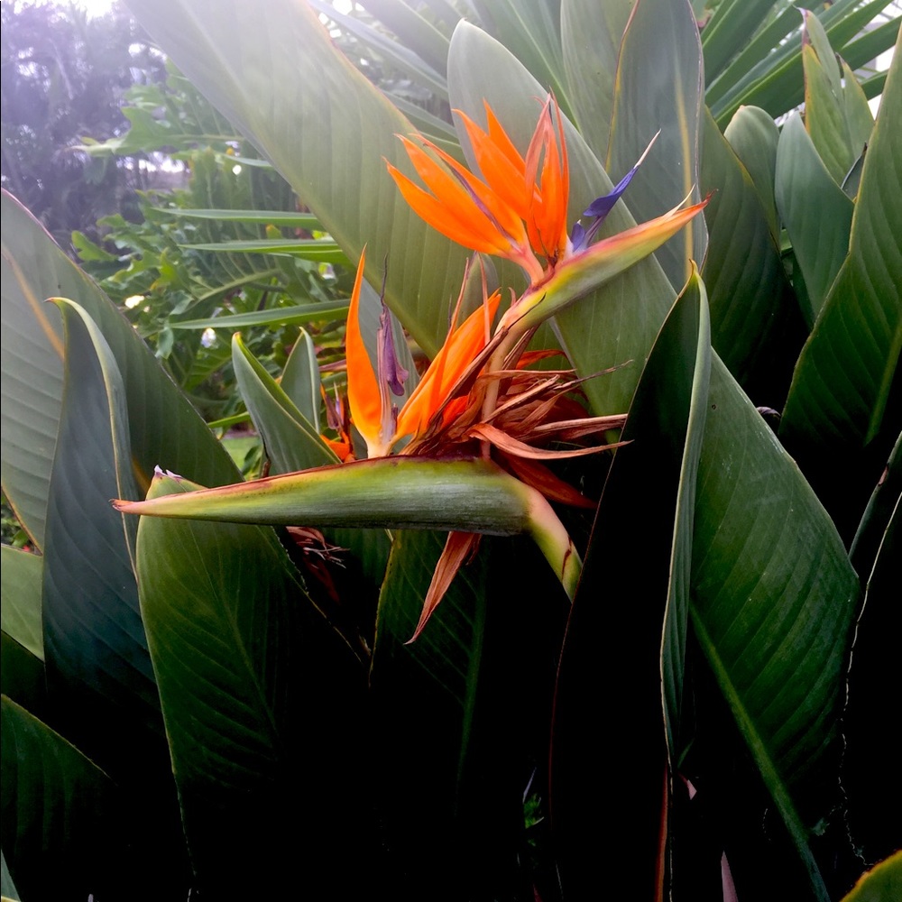 Meet your Posher, Clothes Retold